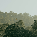 Malaysia