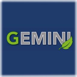 Gemini Office Solutions Ltd